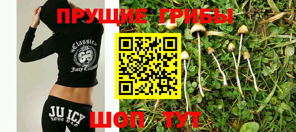 сколько стоит  Вход с VPN  Костомукша  Псилоцибиновые грибы Psilocybine cubensis 